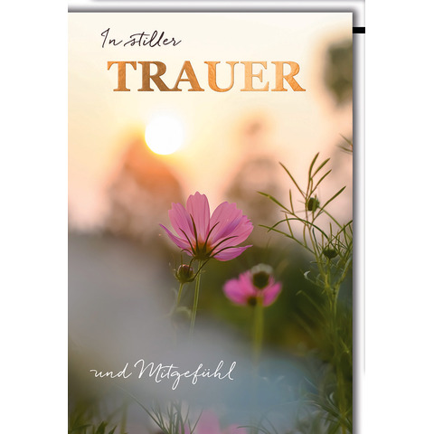 Buch, Veröffentlichung, Blume, Blütenblatt, Pflanze