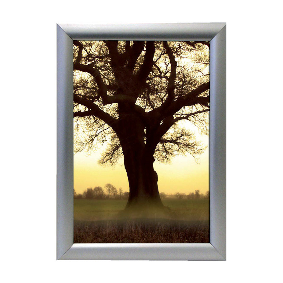 Baum, Stamm, Baum Silhouette, Landschaft, Feld