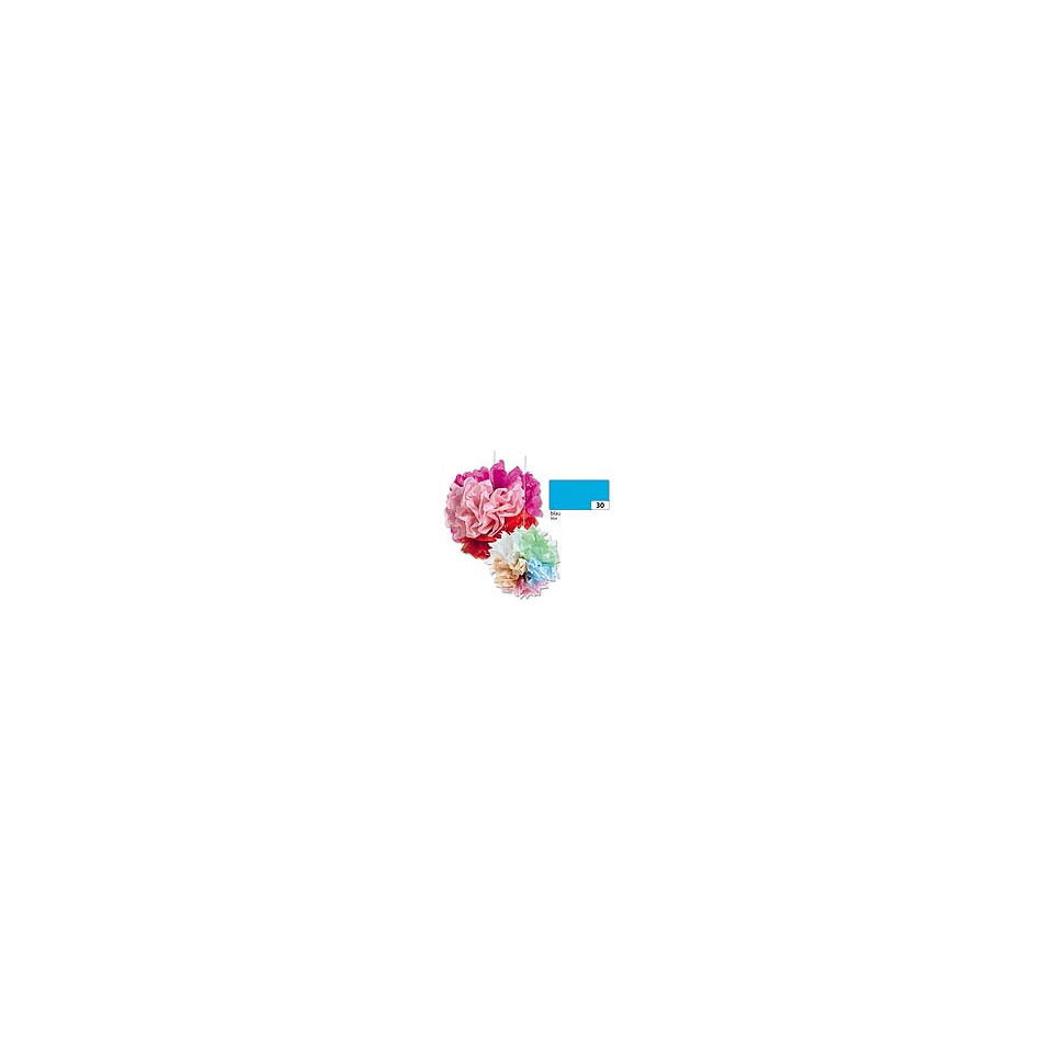 Blume, Pflanze, Nelke, Zubehor, Blume, Pflanze