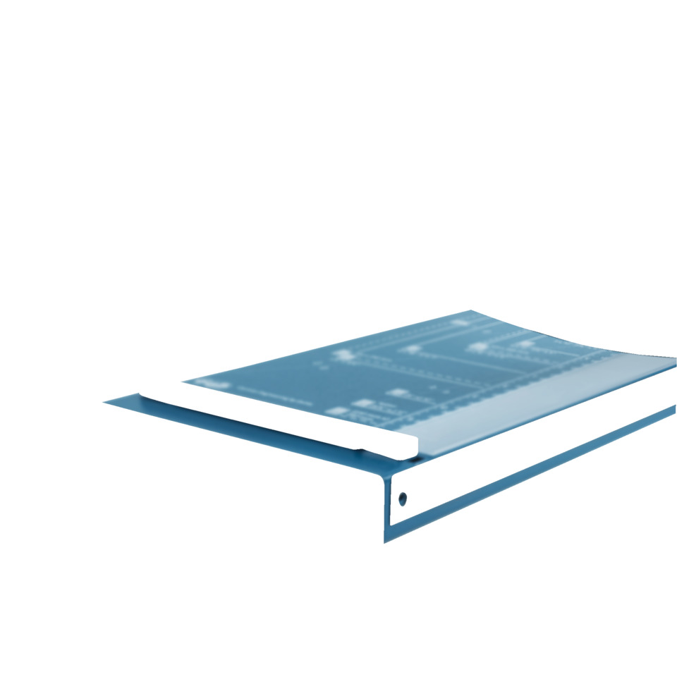 Buch, Veröffentlichung