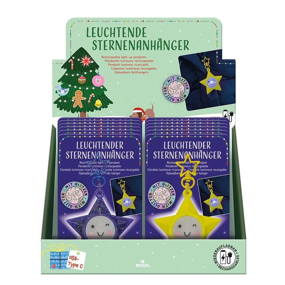 Sternenanhänger leuchtend, aufladbar, sortiert MOSES. 16798