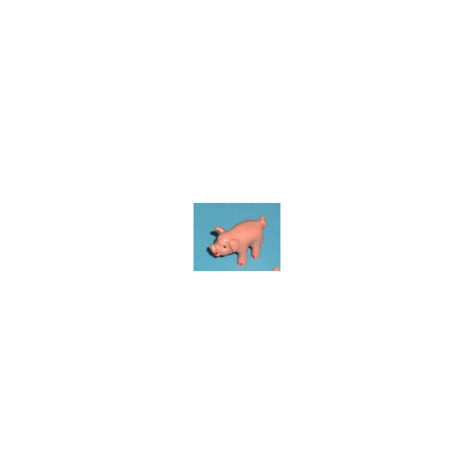 Tier, Bär, Säugetier, Tierwelt