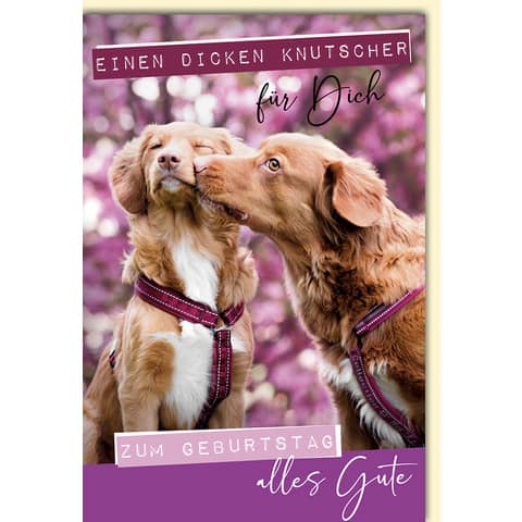 Geburtstagskarte  551331