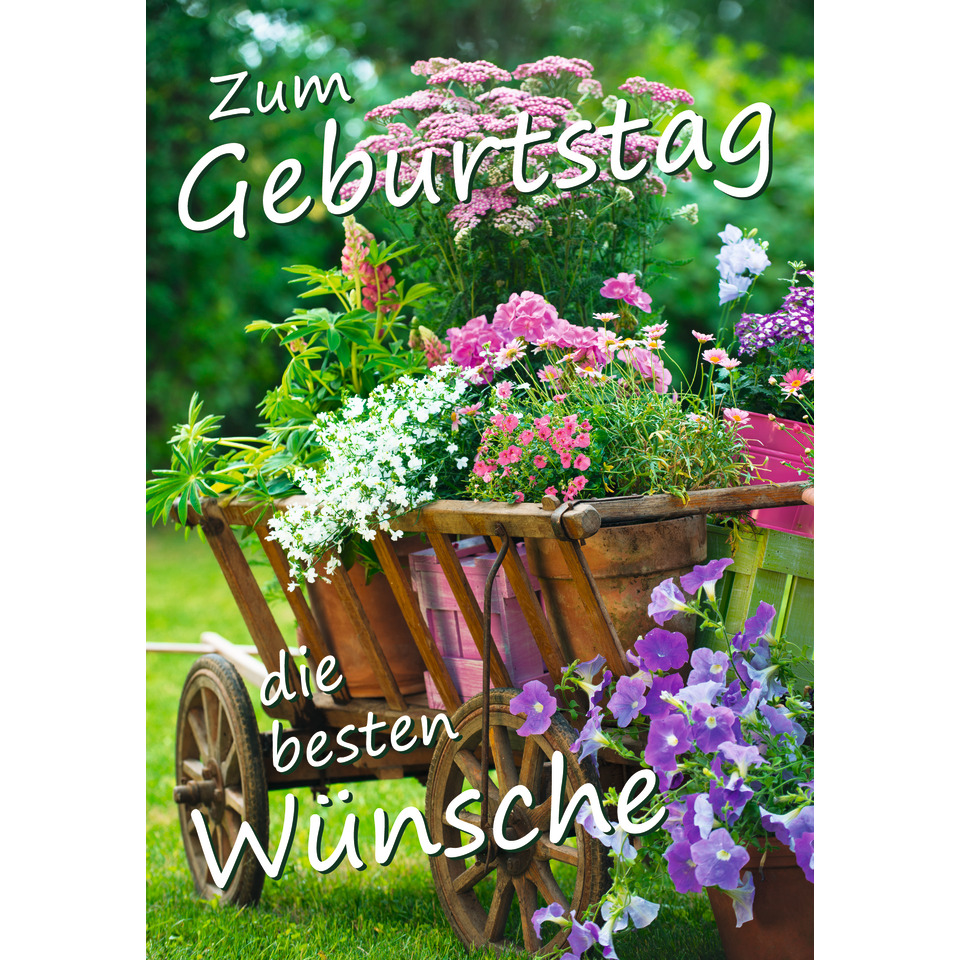 pflanzen, blumen, pflanzenkorb, garten, wagen