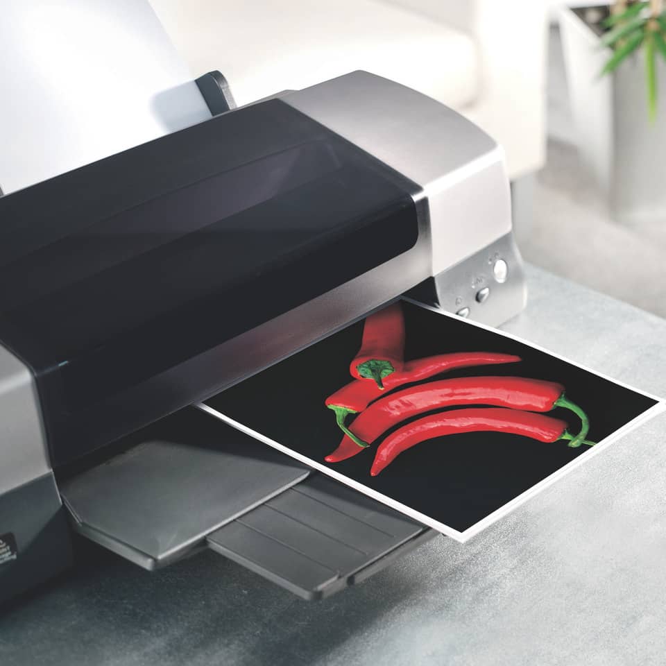 Chili, Fotodruck, Küchengerät, Papierabzug, Rot