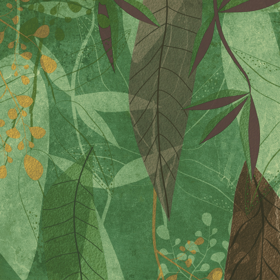 Wandmotiv, Blättermuster, Grünes Design, Dschungel-Print, Vektur-Illustration