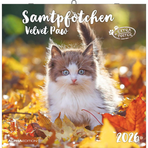 Bildkalender Samtpfötchen 2026, 30 x 30 cm, 1M/1S ZETTLER 160299