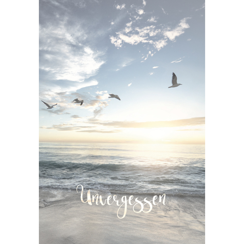 Strand, Meer, Wellen, Sonnenuntergang, Vögel