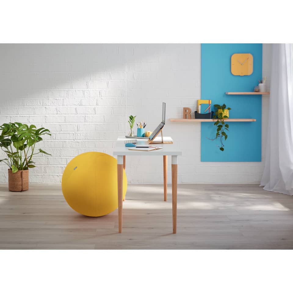 Schreibtisch, Büro, Sitzball, Blau, Pflanze