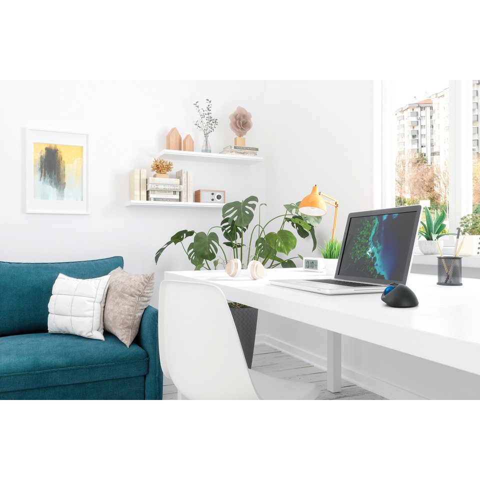 home office, Schreibtisch-Setup, Laptop, Pflanzen, Dekoration