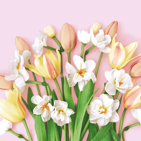 Motivserviette Frühjahr, 33 x 33 cm, 3-lagig PAPER+DESIGN 208818