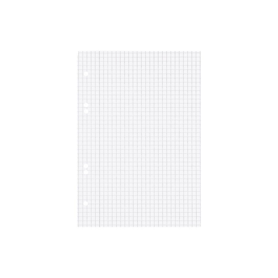 Graph paper, Notizblock-Seite, Gittermuster, Gewellte Punkte?, Lochungselemente