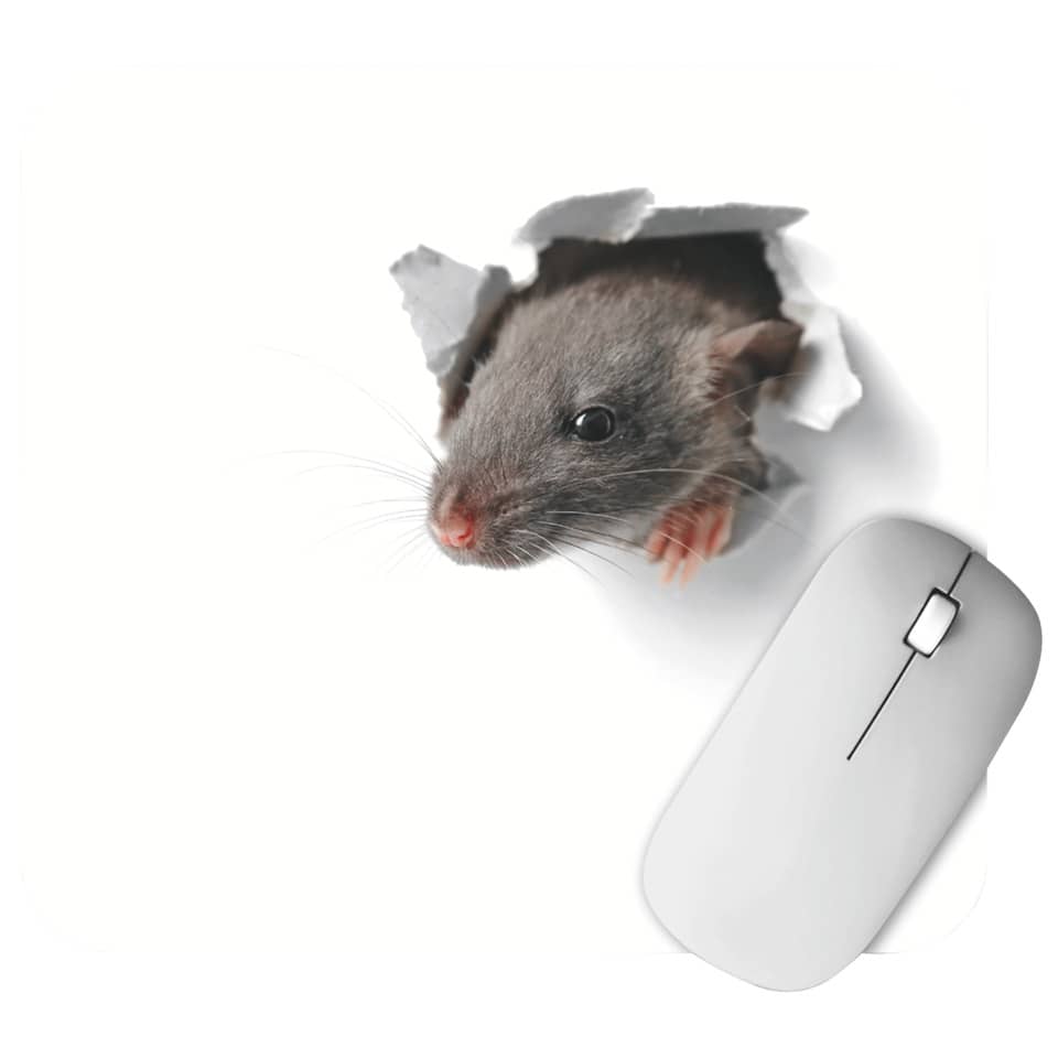 Kleintier, Ratte, Maus,  Maus-Accessoire, Computer-Maus