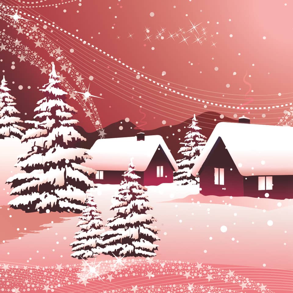 Pflanze, Baum, Nachbarschaft