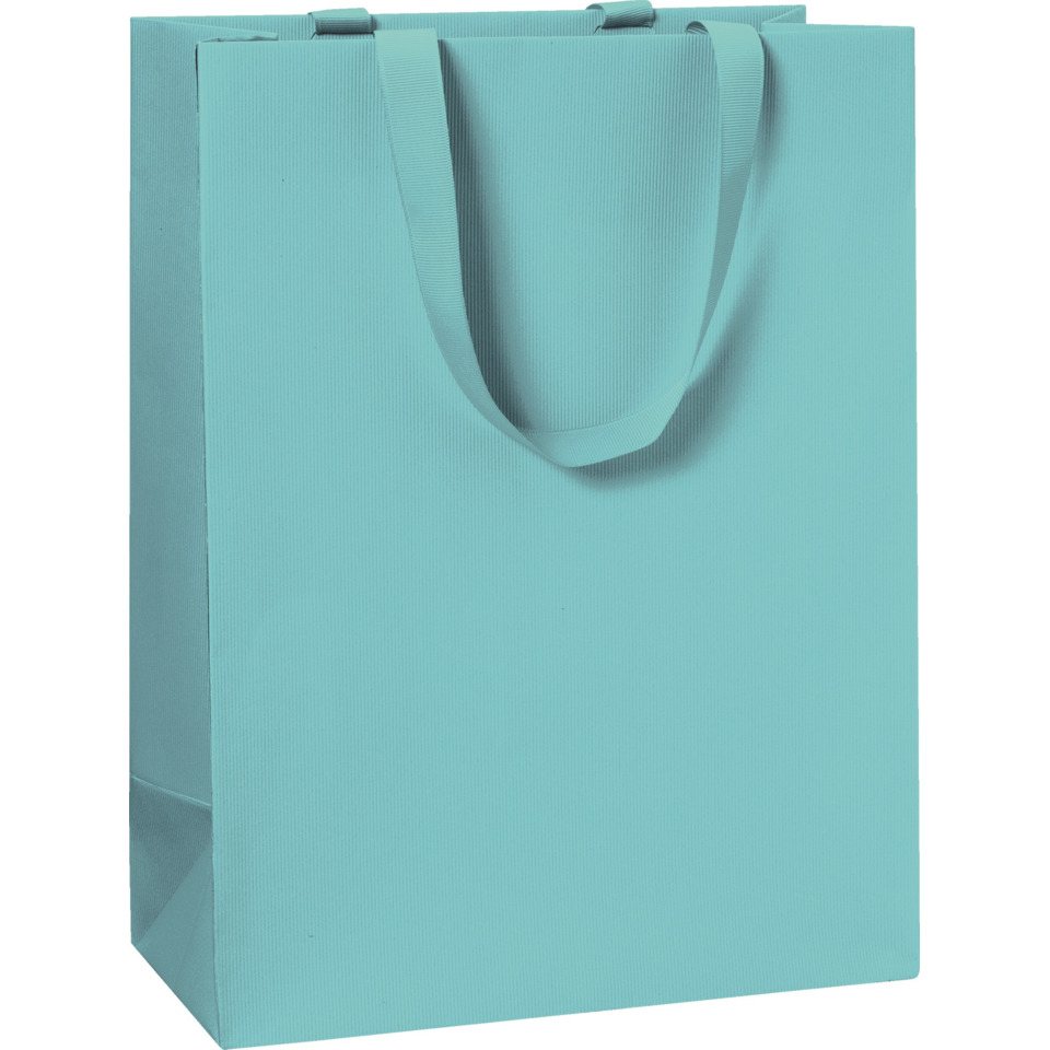 Geschenktragetasche One Colour, 30x23x13cm, hellblau STEWO 2544783496
