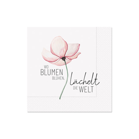 Grusskarte, Post, Blume, Blütenblatt, Pflanze