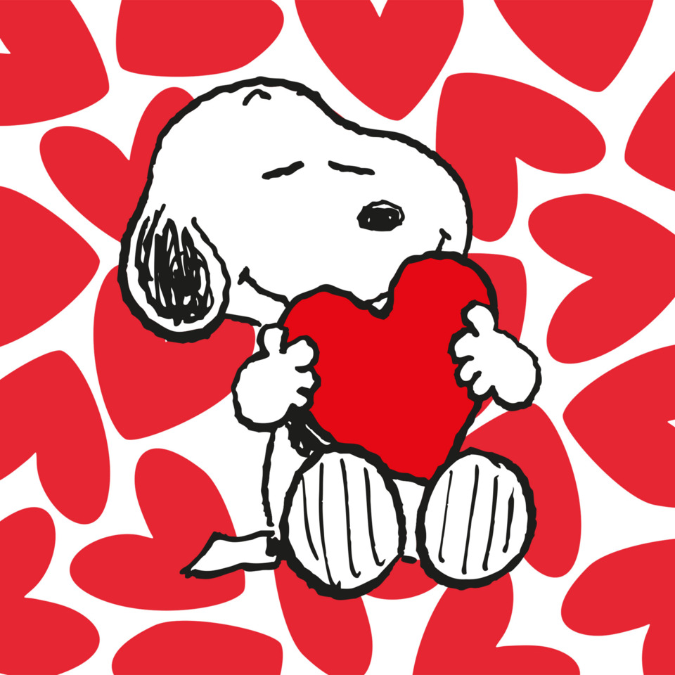 Snoopy, Herz, Blumenmuster, Valentinstag, Kuscheltier