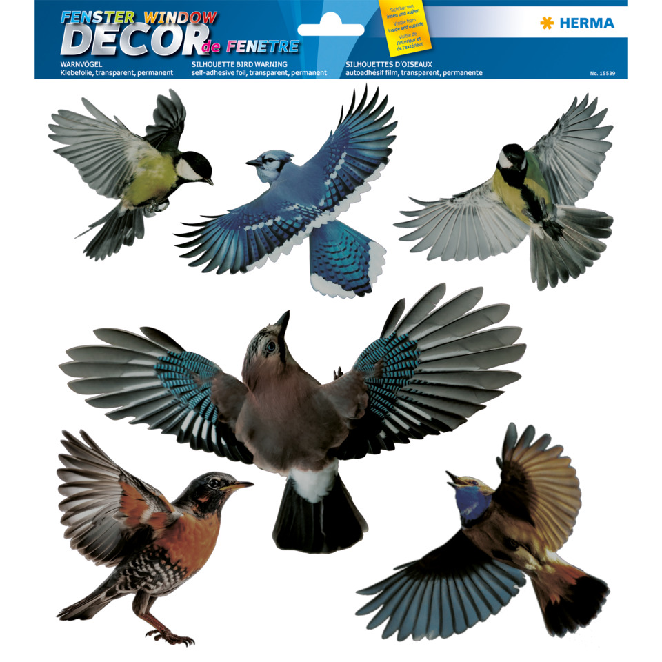 Vögel, Flügel, Vogelflug, Wandsticker, Dekor