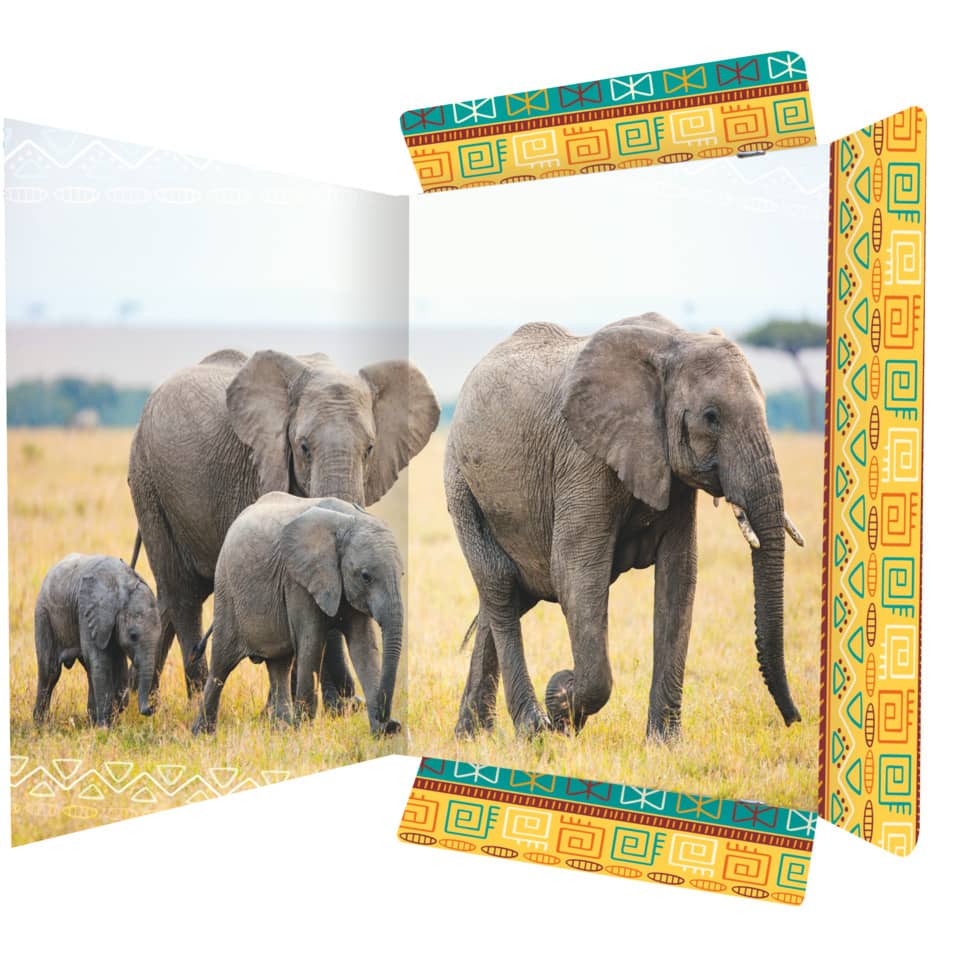 Elefanten, Elefantenbaby, Safari, Tierwelt, Familienherde
