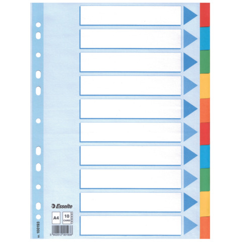 Kartonregister Standard Blanko, A4, Karton, 10 Blatt, weiss ESSELTE 100193
