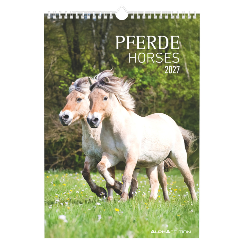 Pferd, Horses, Kalender, Jahreskalender, Natur