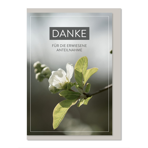 Werbung, Plakat, Blume, Pflanze, Blatt