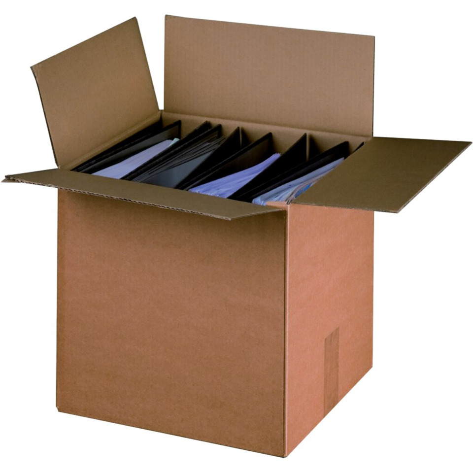 Kartonbox, Umzugskarton, Lagerbox, Dokumente, Sortierte Unterlagen
