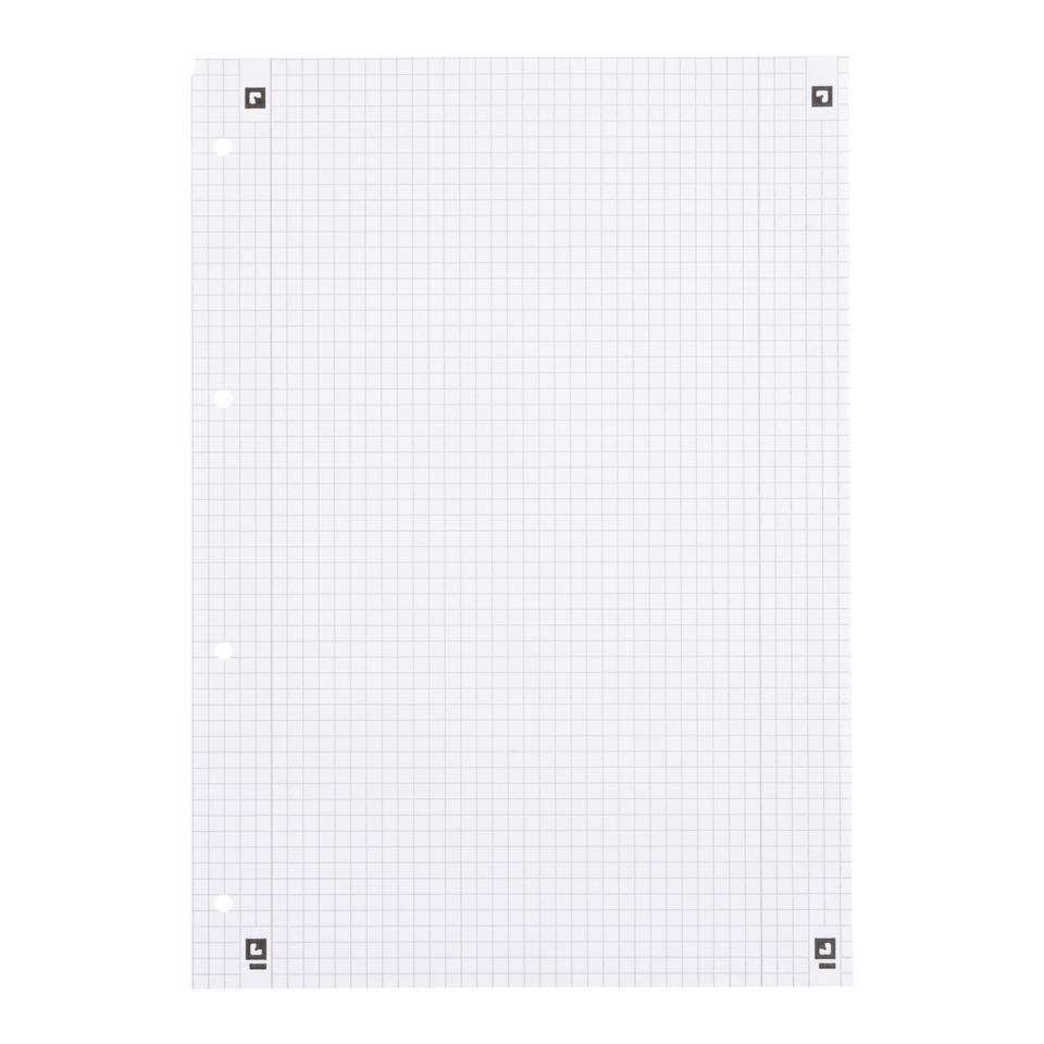 Gitterpapier, Rasterpapier, Graph-Papier, Blatt Papier, Notizpapier, Gitterpapier, Notizblock, Lochung, Gittertabelle, Blatt