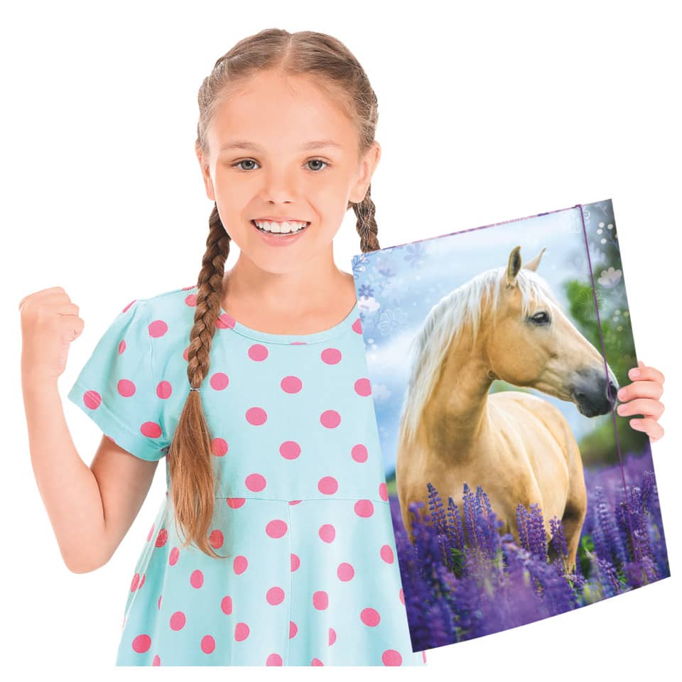 Pony, Bild, Panel, Tiermotiv, Lavendelfeld