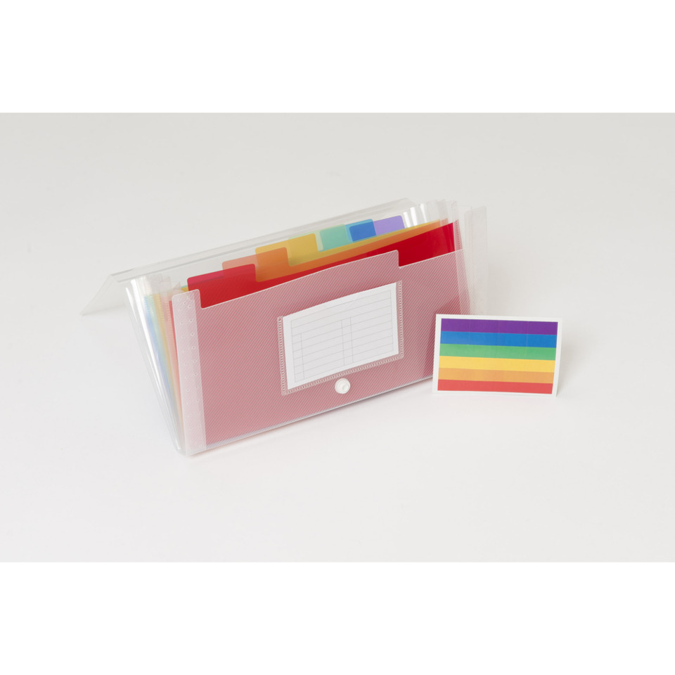 Schreibtischorganizer, Ordner, Farbbanden?, Notizblock, Transparentes Kleingehäuse, Dateiordner,  pinker Ordner, bunte Registerkarten, Plastiktasche, Schreibwaren-Set