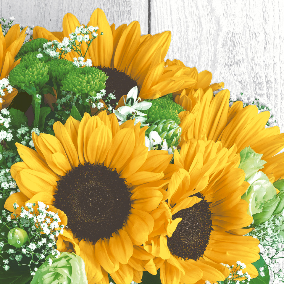 sonnenblume, blumenstrauß, bouquet, gelb, grün