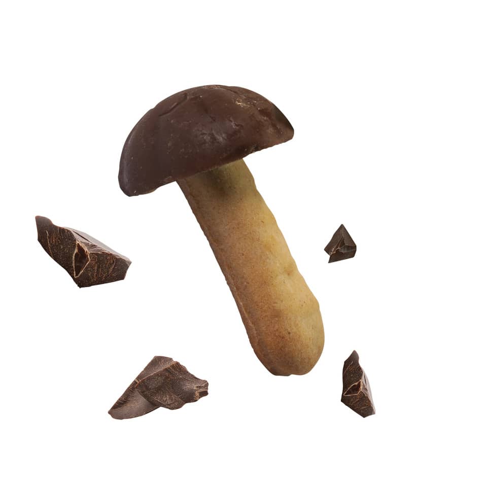 pilz, champignon, schokolade, kakaobohne?, brocken