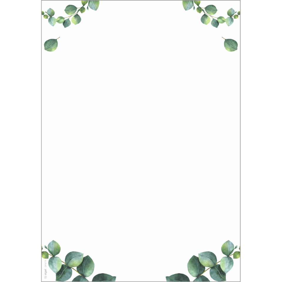 Kartenhülle, Notizblatt, Eukalyptus, Blätterrand, Florale Vorlage