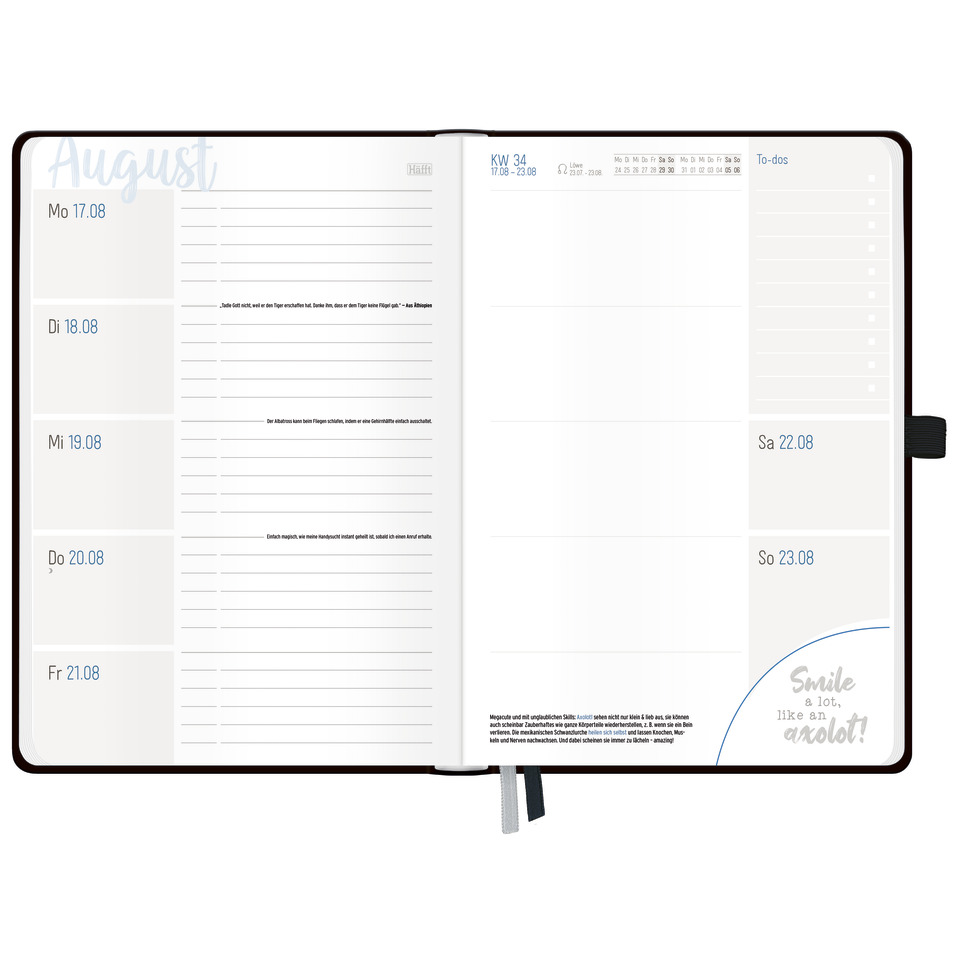 Seite, Text, Seite, Text