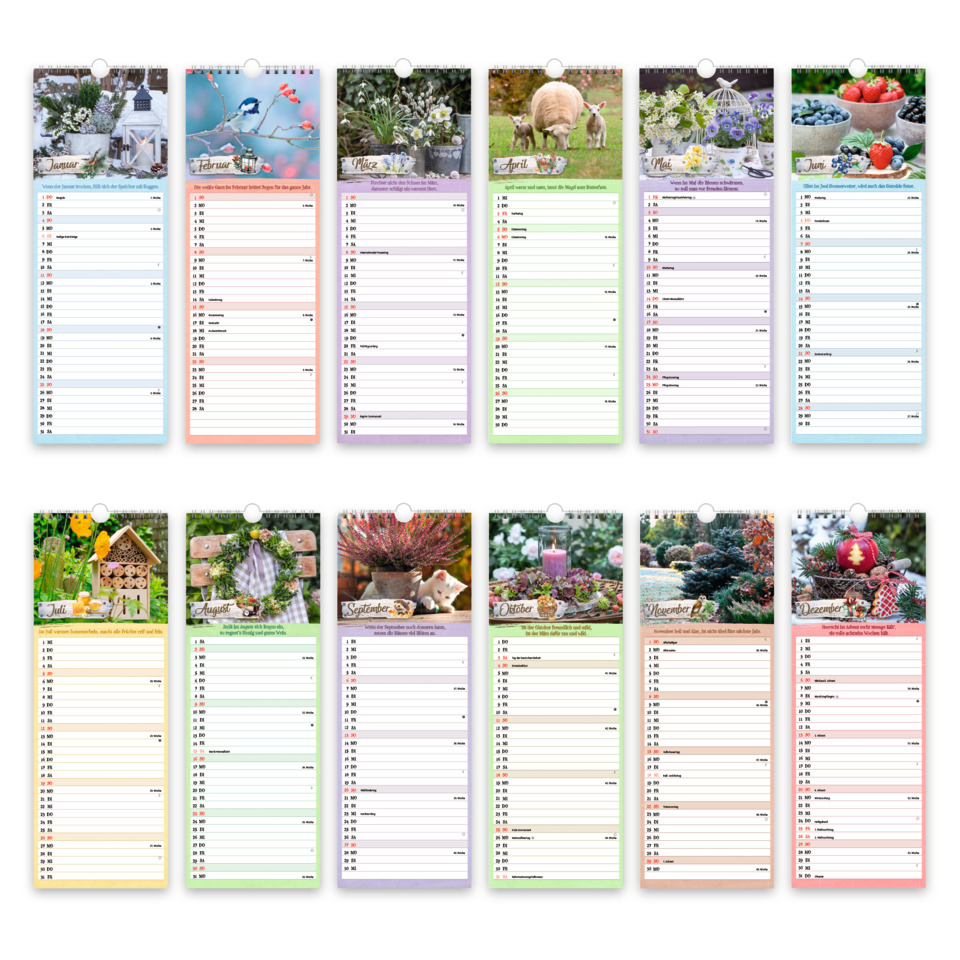 Seite, Text, Seite, Text, Speisekarte