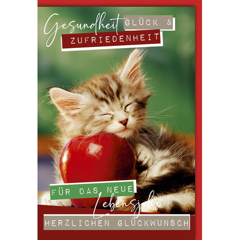 Katze, Kätzchen, Haustier, Apfel, Produzieren