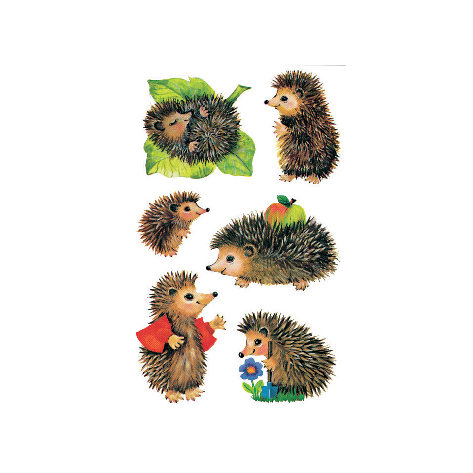 Igel, Stachelig, Tierchen, Kinderfreundlich, Illustration