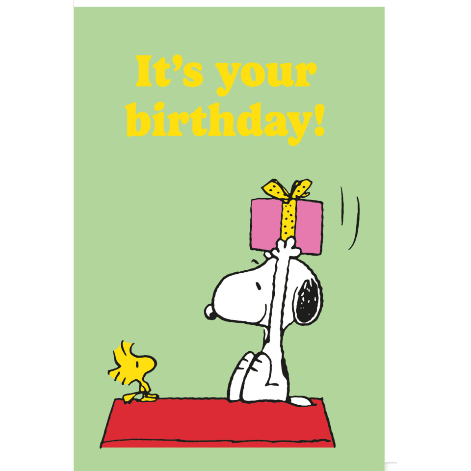 Grußkarte, Snoopy, Geburtstag, Geschenk, Cartoon