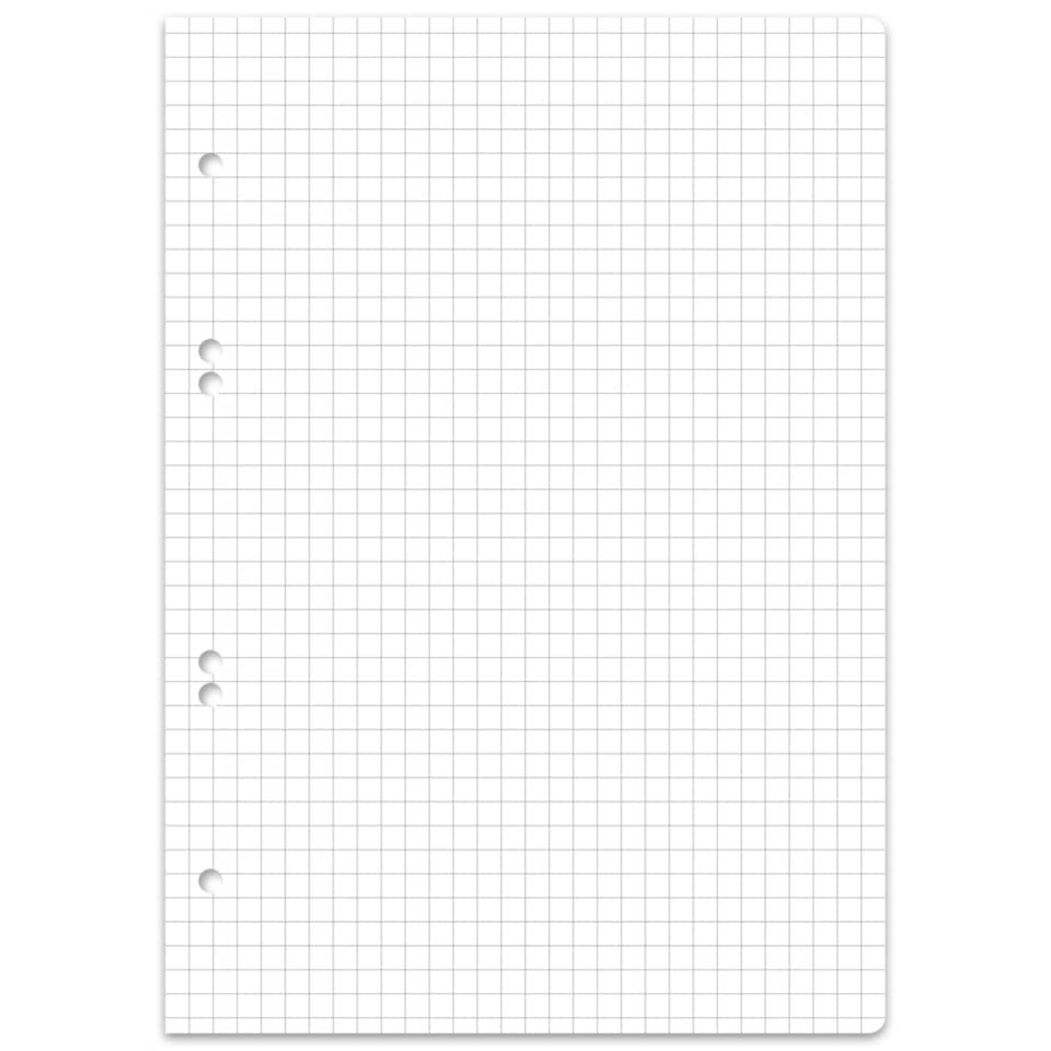 notebooks, grid, grid paper, holes, punch