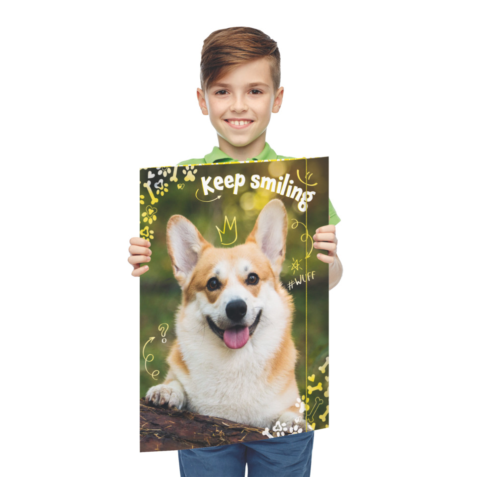 Poster, Hund, Corgi, Lächelnder Hund, Grüner Hintergrund