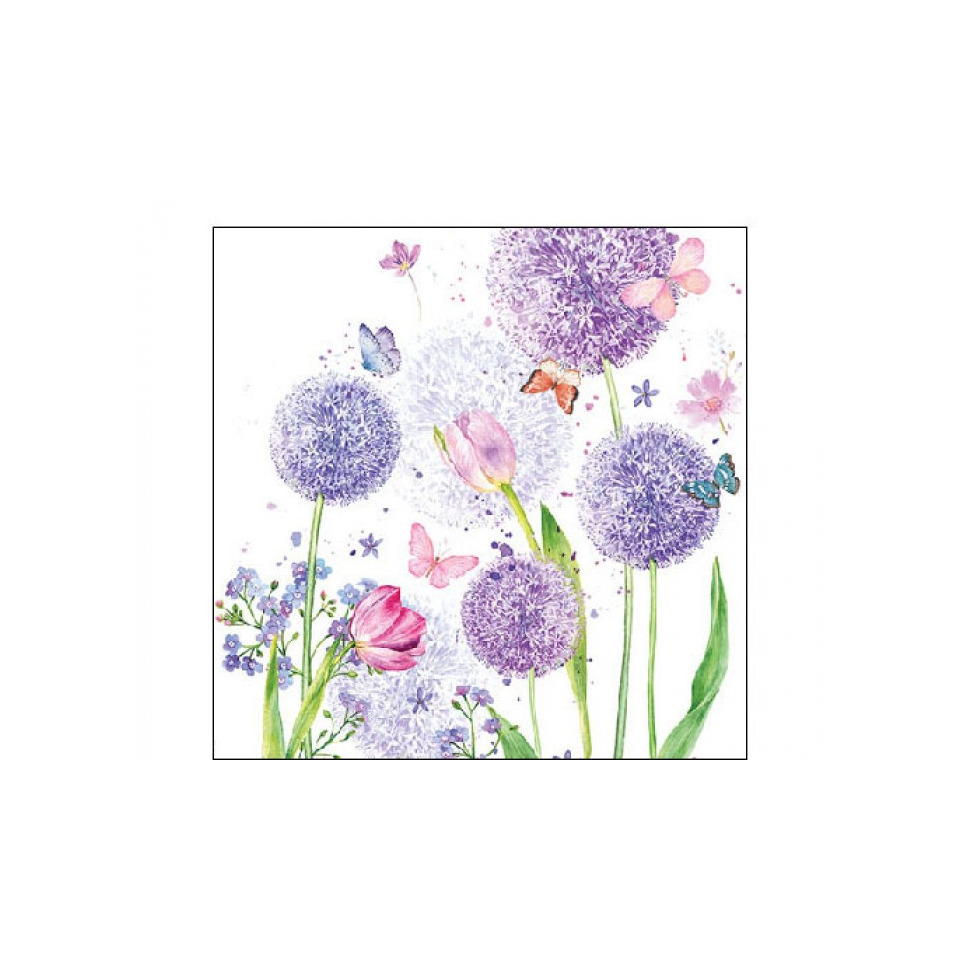 Allium, Blumen, Lila, Floral, Motiv