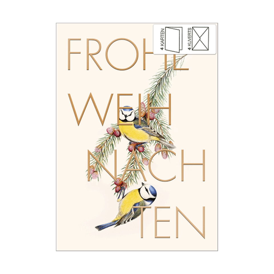 karte, weihnachtskarte, vögel, zweige, grüße