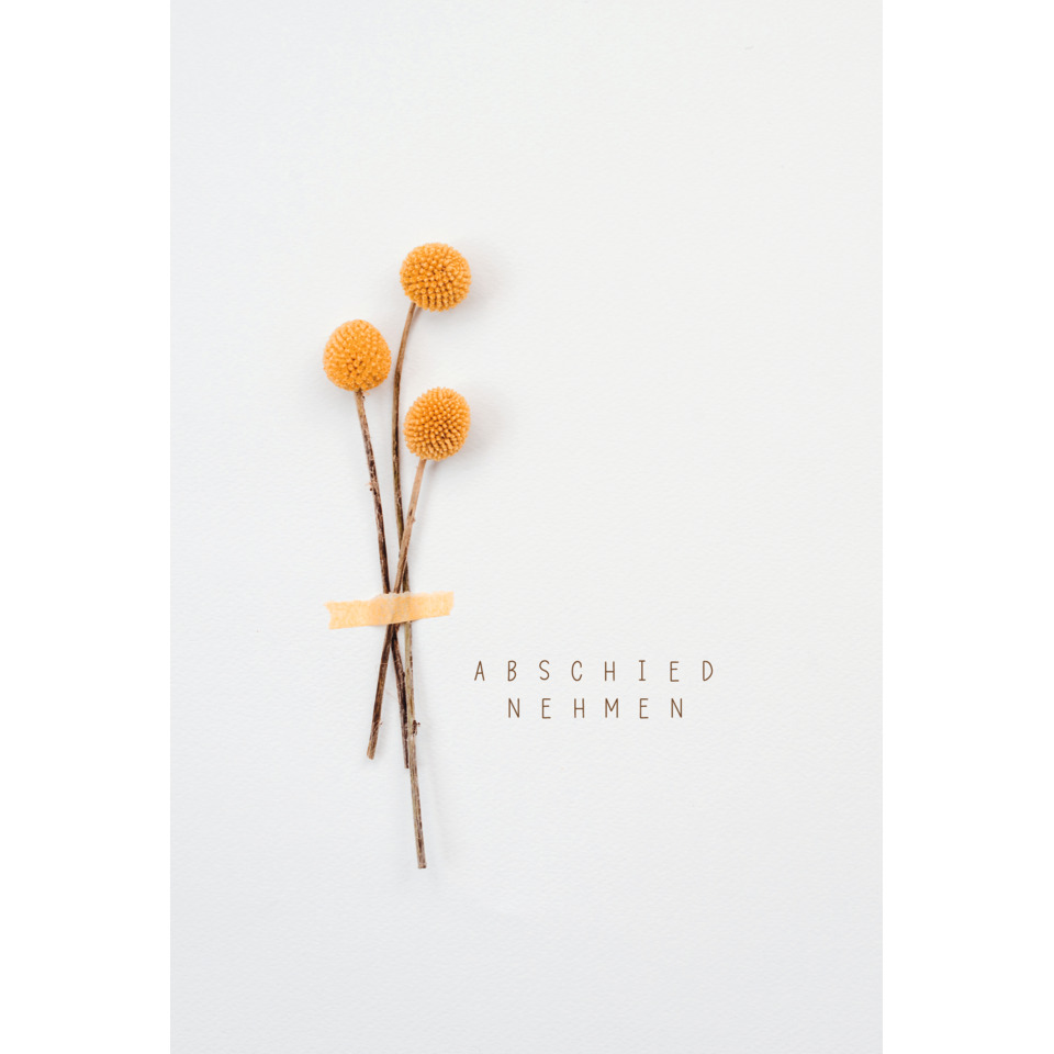 Trockenblumen, Geldgebinde, Orangene Köpfe, Designkarte, Abschied