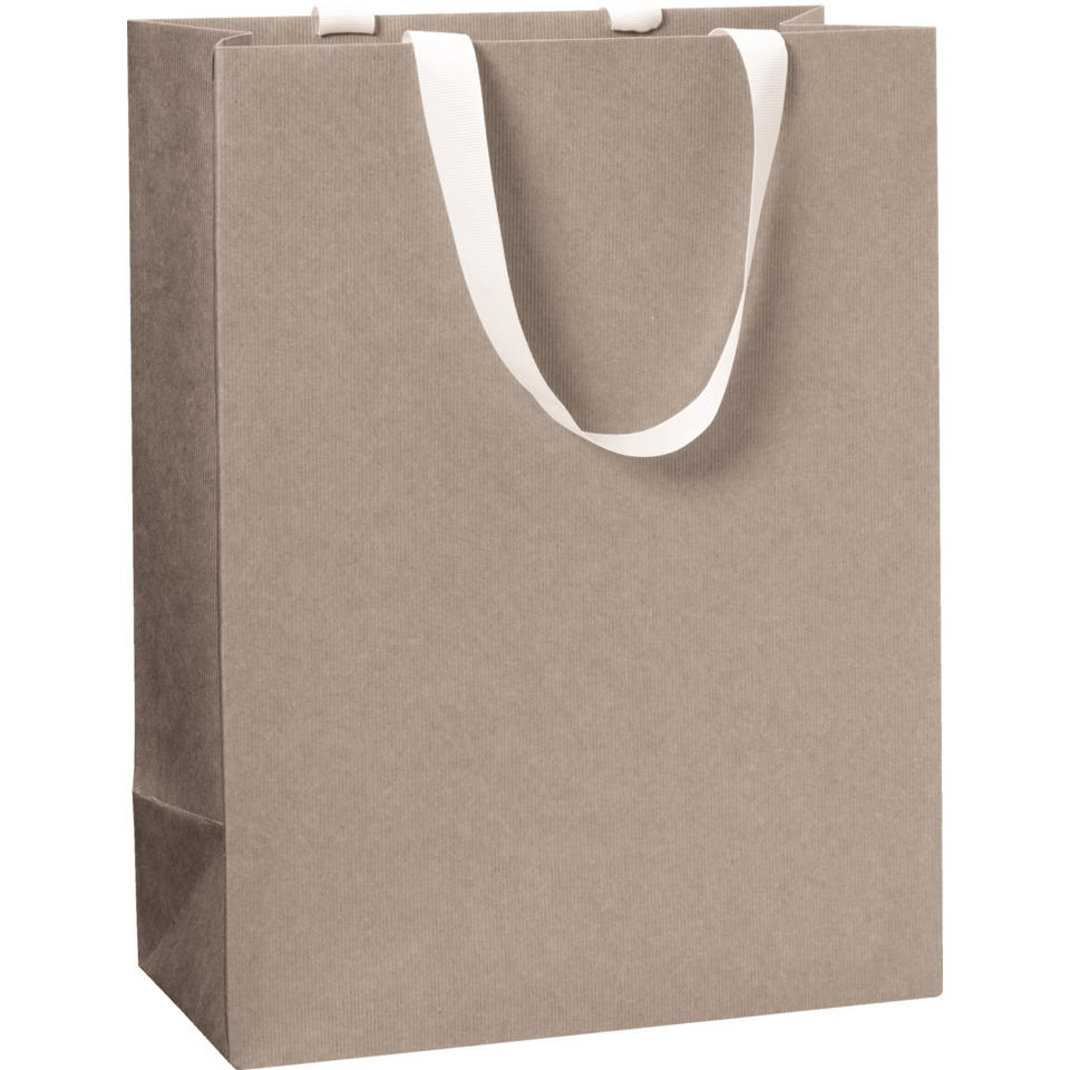 Geschenktragetasche One Colour, 30x23x13cm, hellgrau STEWO 2544616696