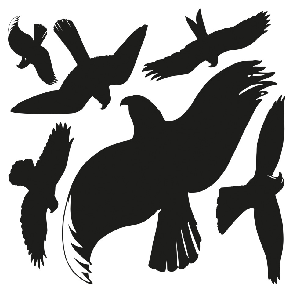 Vogelsilhouette, Jagdvögel, Flugformation, Schwarz-Weiß, Tierillustration