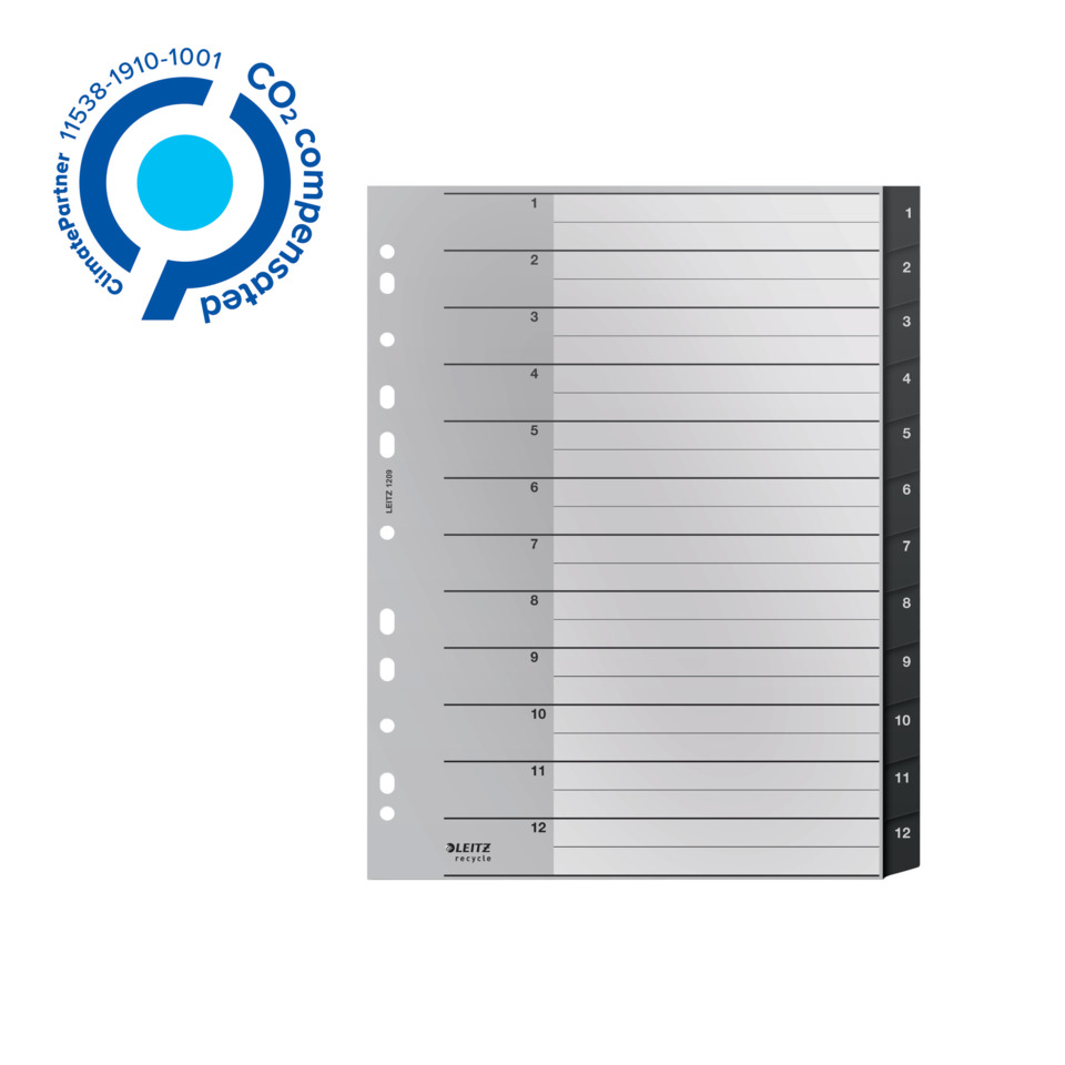 Dokumenteneinlage, Ordnungsraster, Linienabschnitt, Trennblatt, Sortierfolie, Trennblattsystem, Sammelordner, Drahtreiter, 2019-Barcode, Papierfach