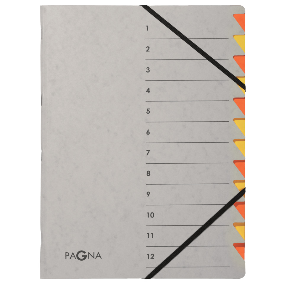 notebook, spiral, lines, divider, pagna