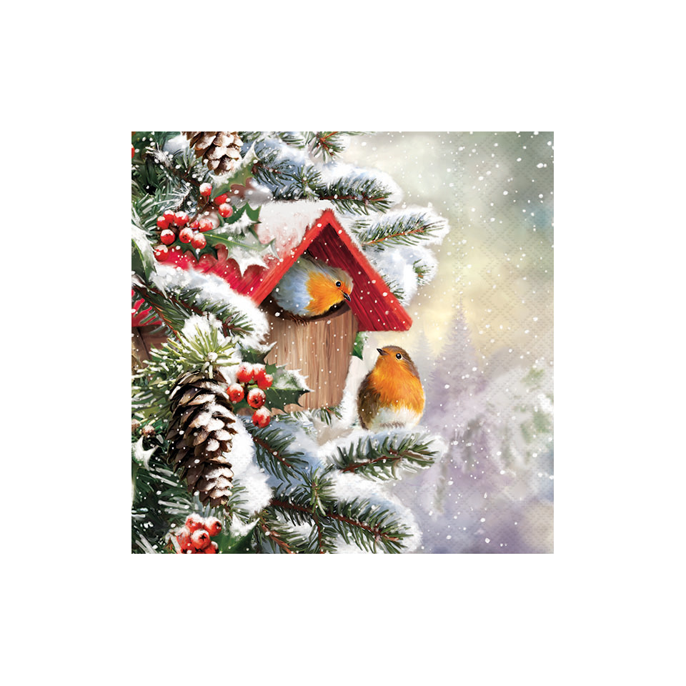 Vogelhaus, Vögel, Winter, Fichte, Vogel