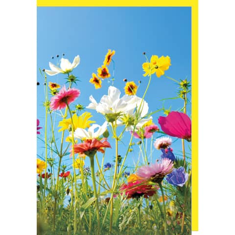 Allgemeine Glückwunschkarte Braun+ Company 5415-23029