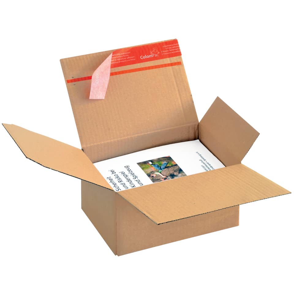 Kartonbox, Umzugskarton, Lagerkarton, BB-Box, Offene Box